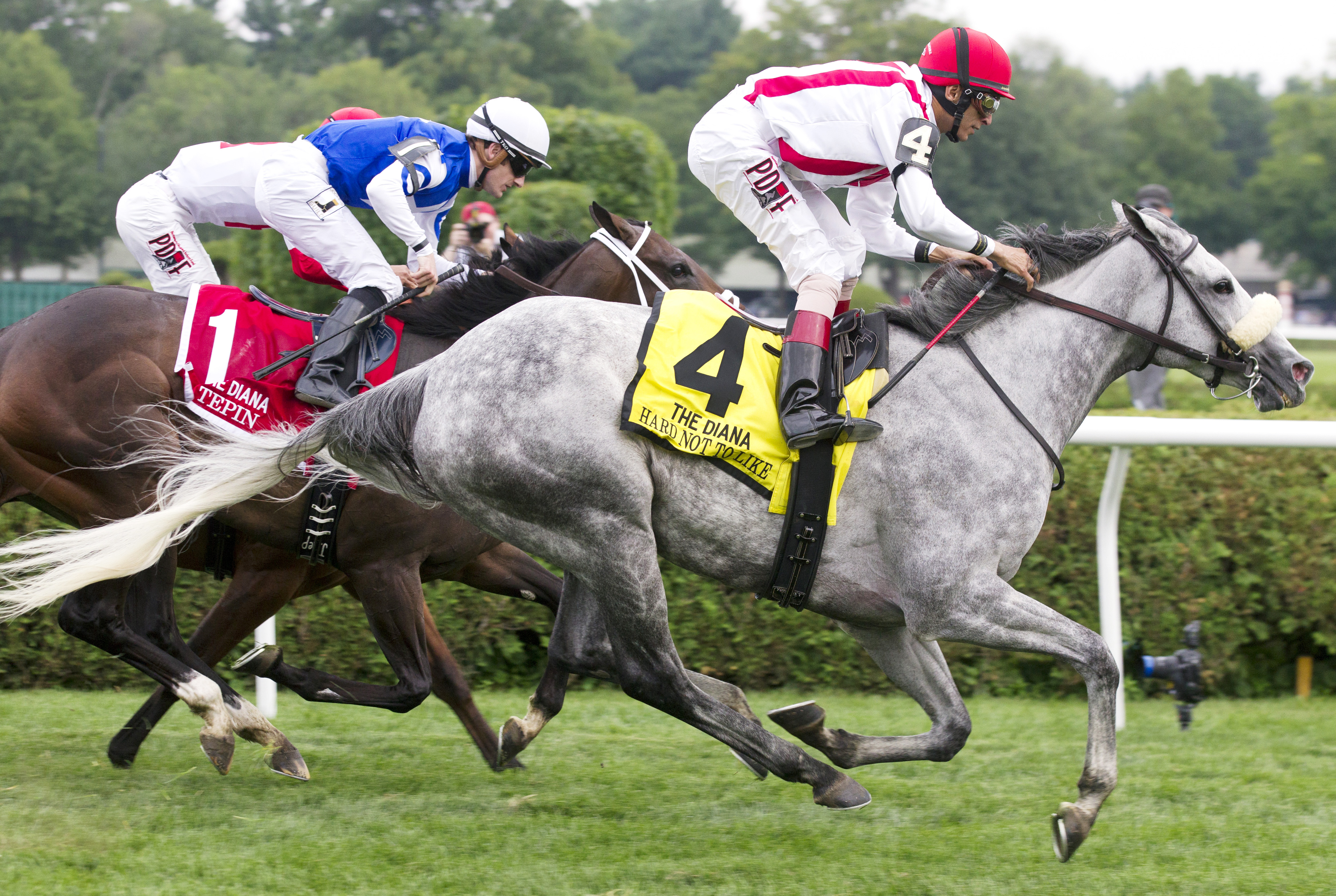 Hard Not to Like wins the Diana
