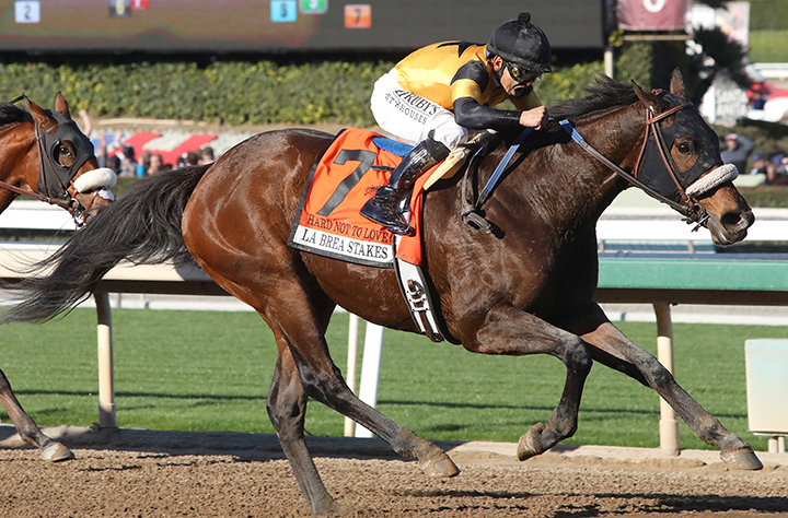 Hard Not to Love wins the 2019 La Brea Stakes at Santa Anita