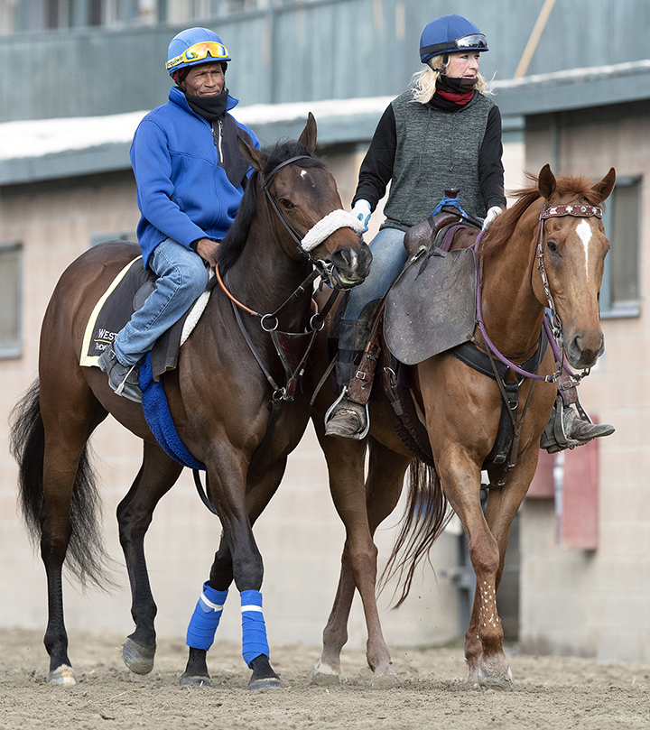Hard Not to Love at Santa Anita in February