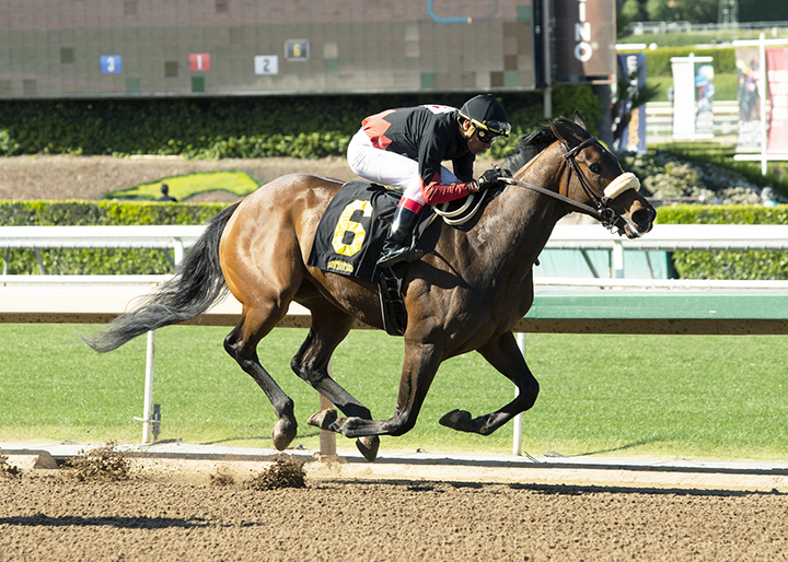 Hard Not to Love wins an April 13 allowance race at Santa Anita