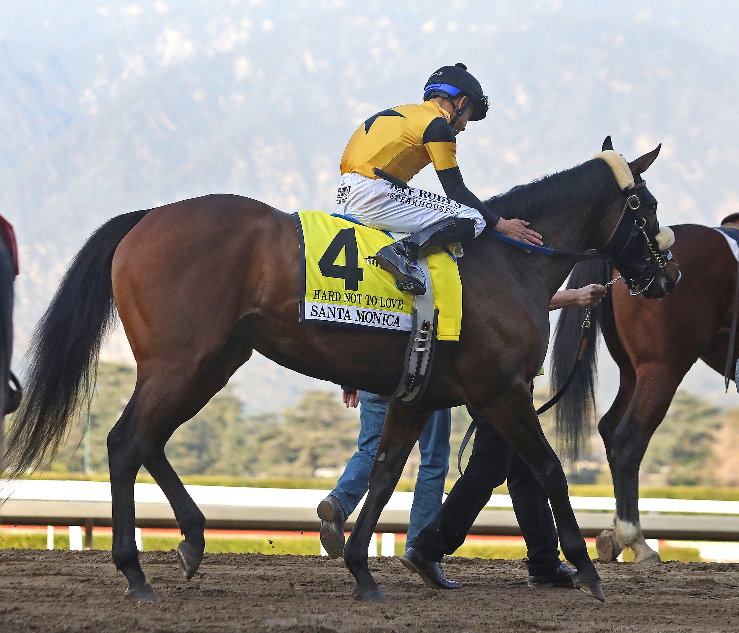 Hard Not to Love following victory in the 2020 Santa Monica Stakes