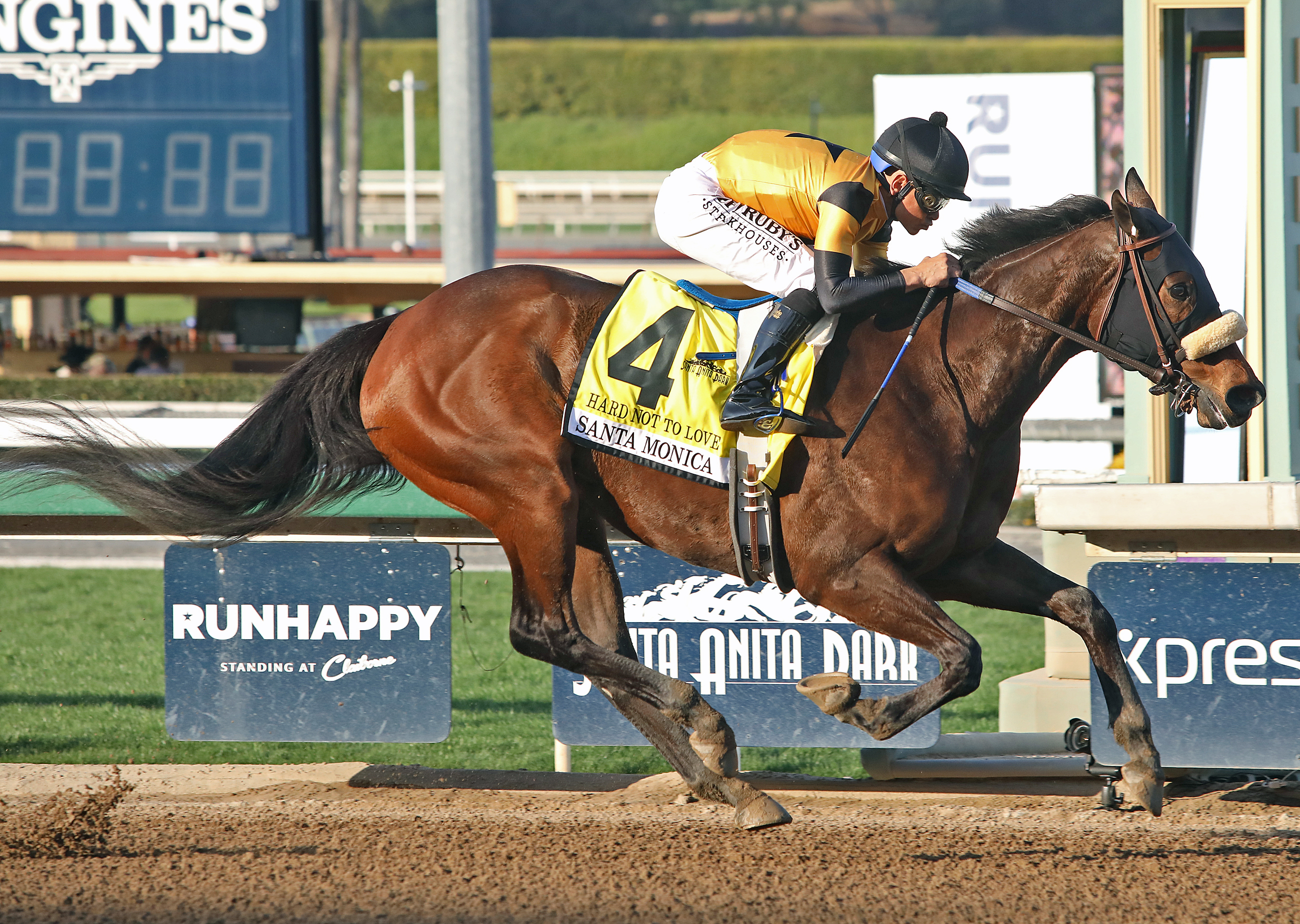 Hard Not to Love wins the 2020 Santa Monica Stakes