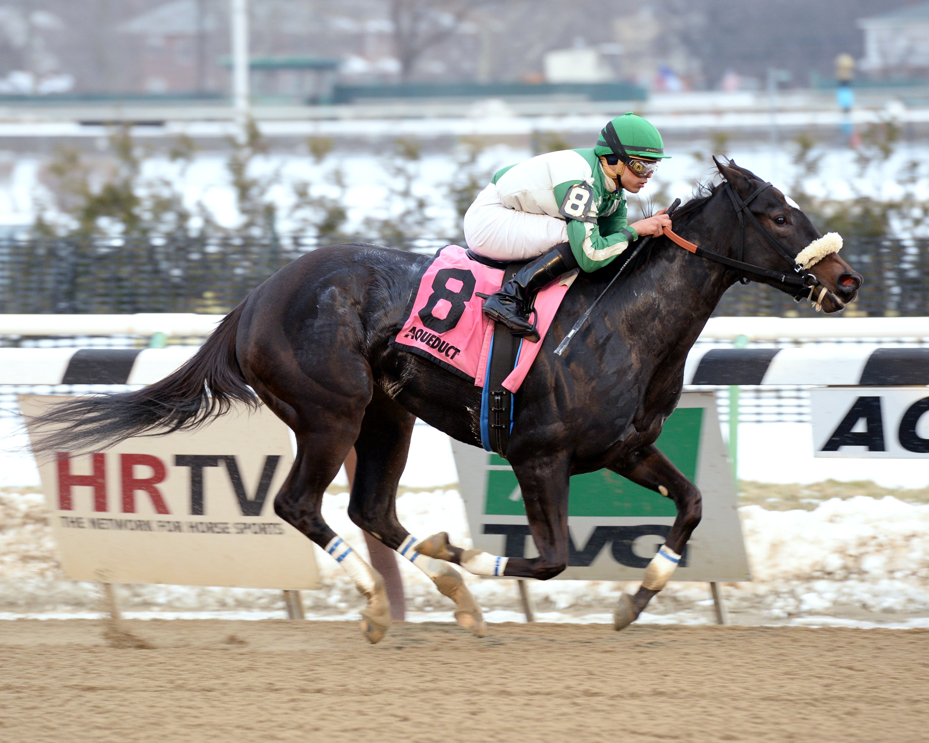 Hard To Stay Notgo wins the Franklin Square