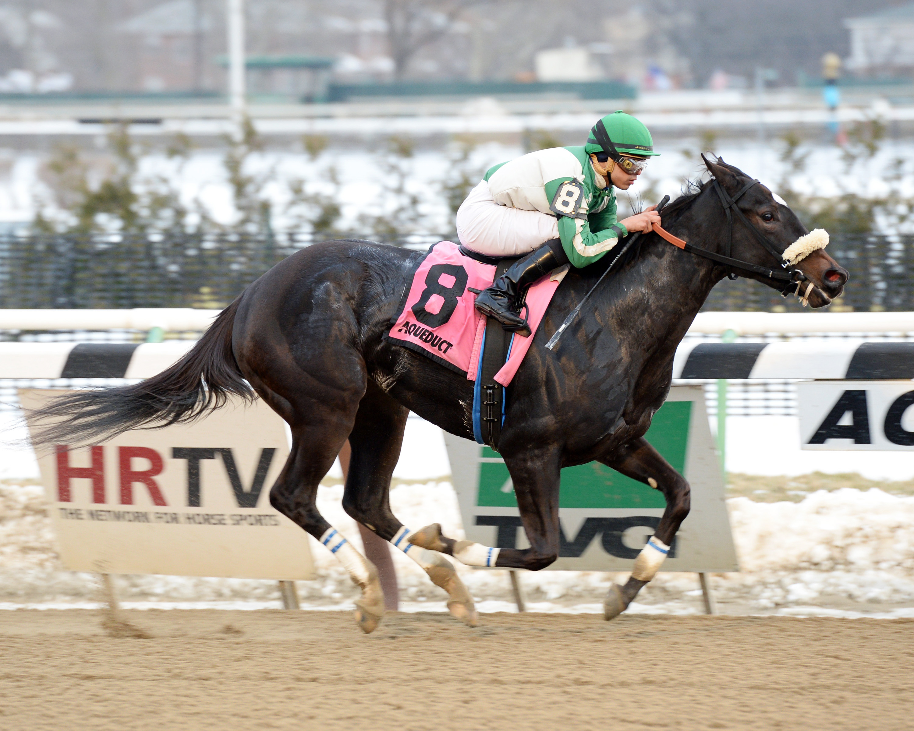 Hard To Stay Notgo wins the Franklin Square Stakes