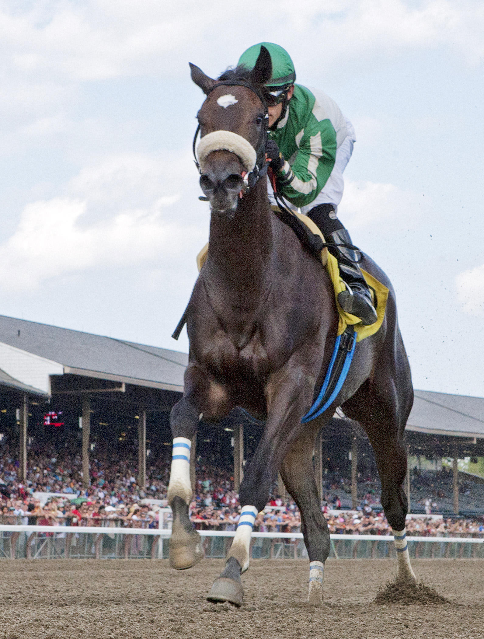 Hard to Stay Notgo wins a maiden