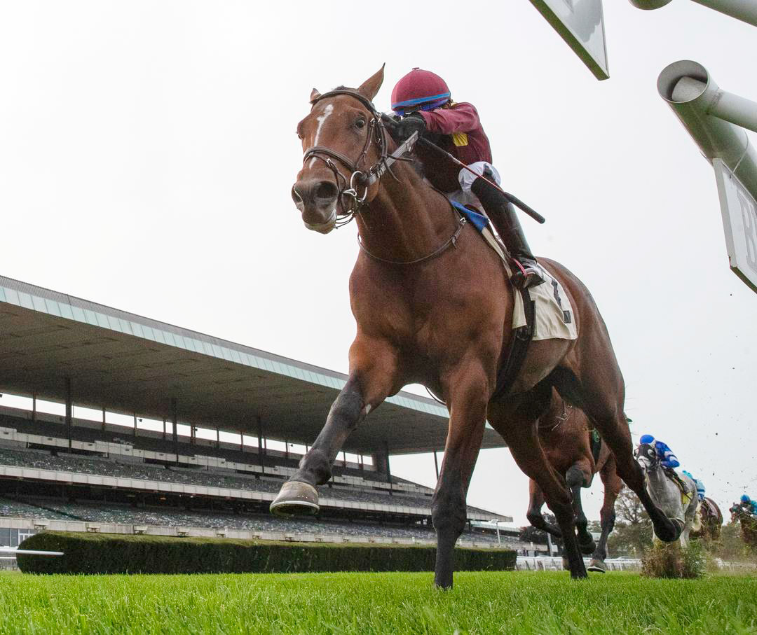 Hard Love wins an October 2020 maiden race at Belmont Park