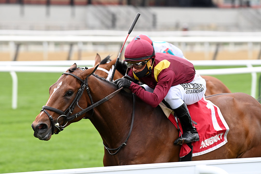 Hard Love wins the 2021 Woodhaven Stakes at Aqueduct Racetrack