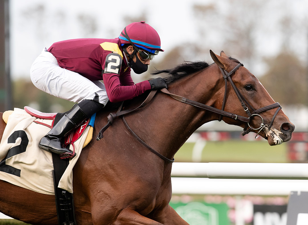Hard Love wins an October 2020 maiden race at Belmont Park