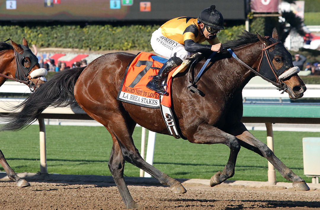 Hard Not to Love wins the 2019 La Brea Stakes at Santa Anita