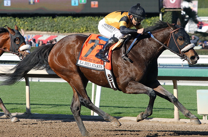 Hard Not to Love wins the 2019 La Brea Stakes at Santa Anita