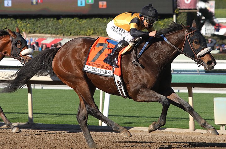 Hard Not to Love wins the 2019 La Brea Stakes at Santa Anita