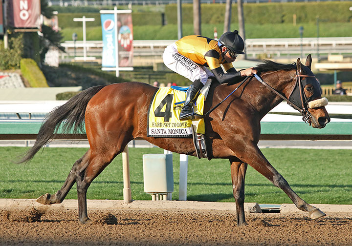 Hard Not to Love wins the 2020 Santa Monica Stakes at Santa Anita Park