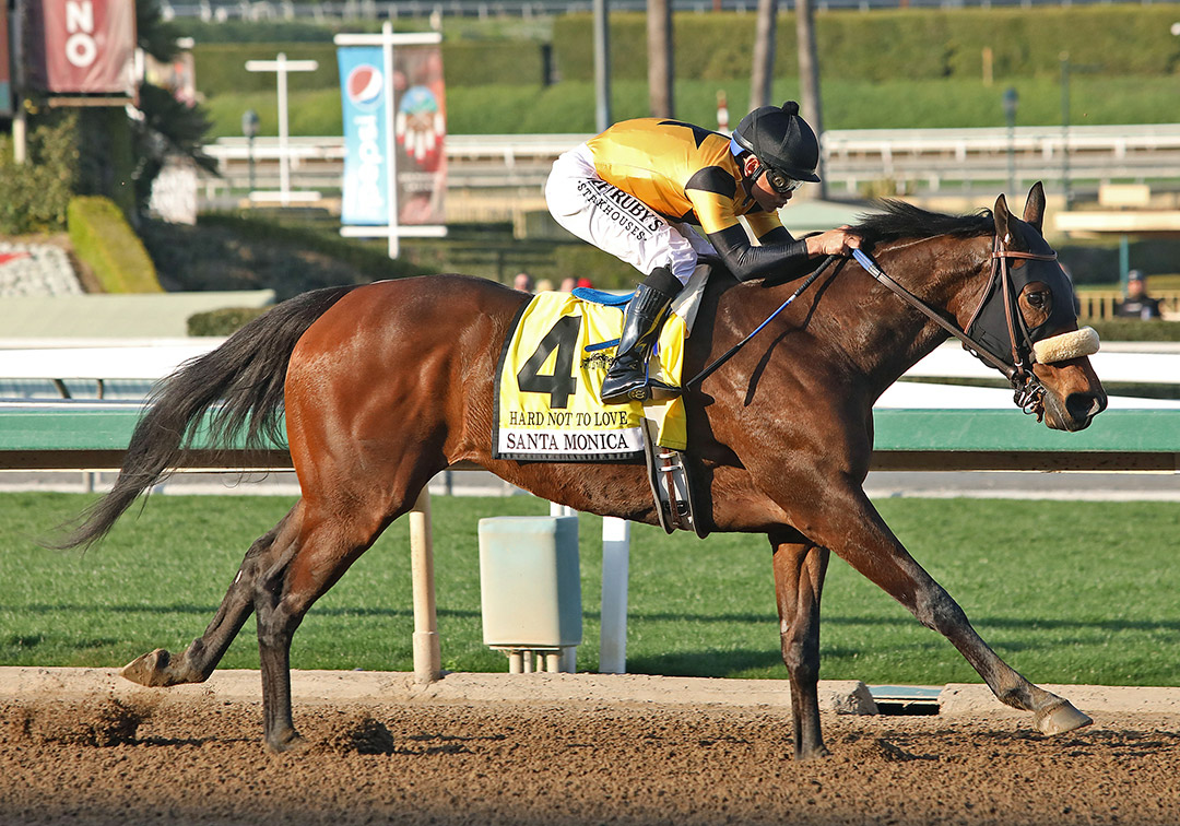 Hard Not to Love wins the 2020 Santa Monica Stakes at Santa Anita Park