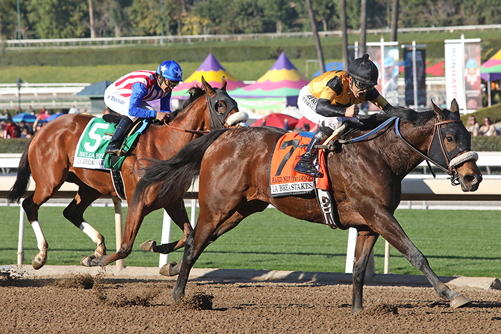 Hard Not to Love wins the 2019 La Brea Stakes at Santa Anita