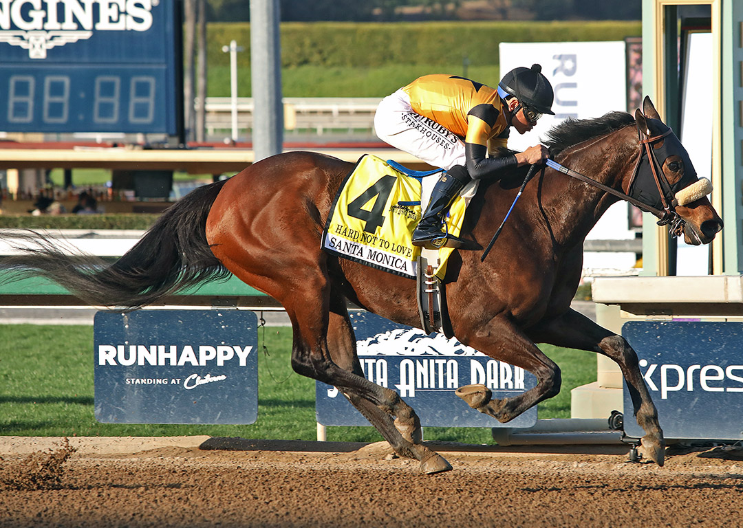 Hard Not to Love wins the 2020 Santa Monica Stakes at Santa Anita Park