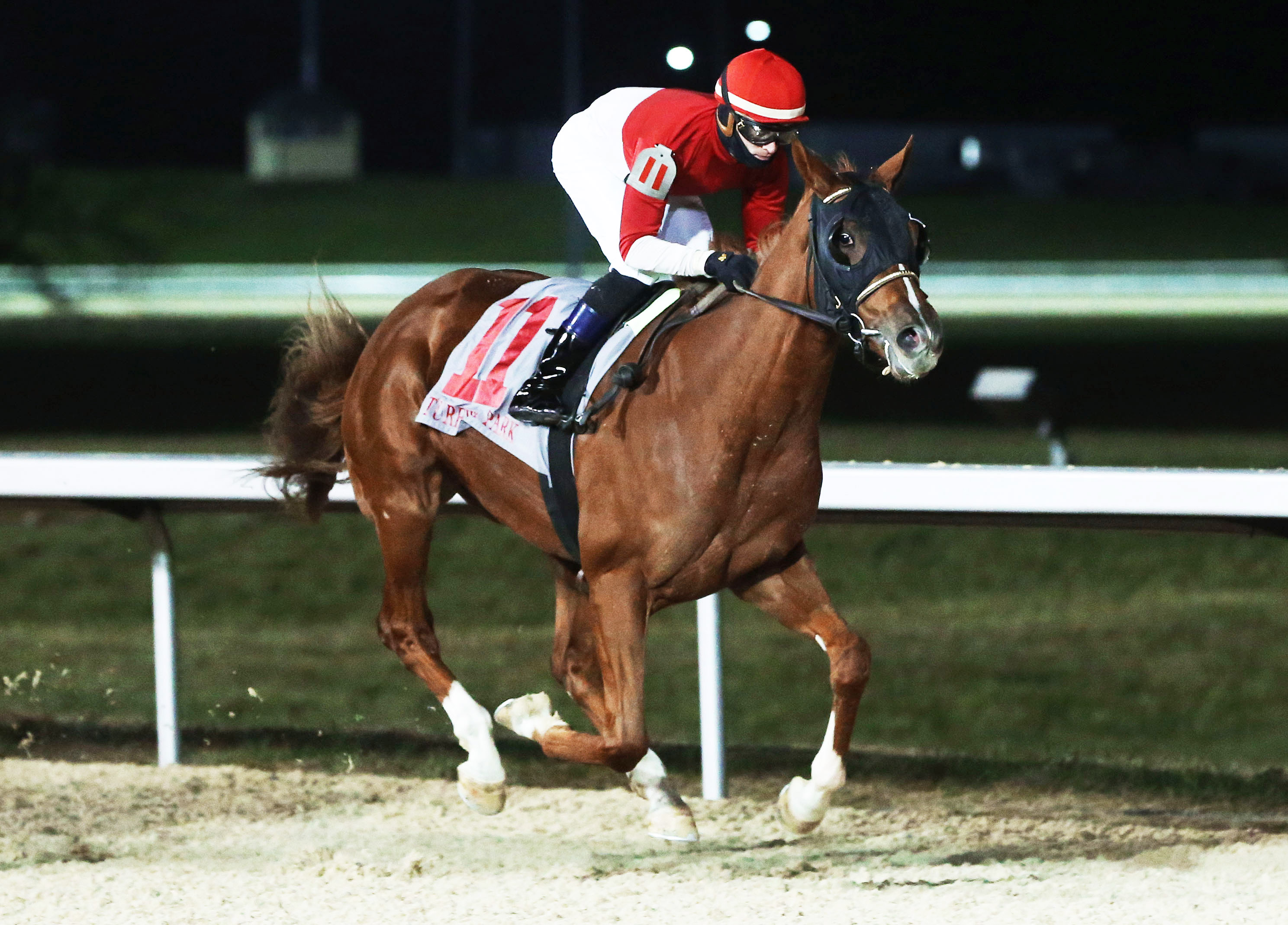 Hard Rye Guy wins a Dec. 4 maiden race at Turfway Park