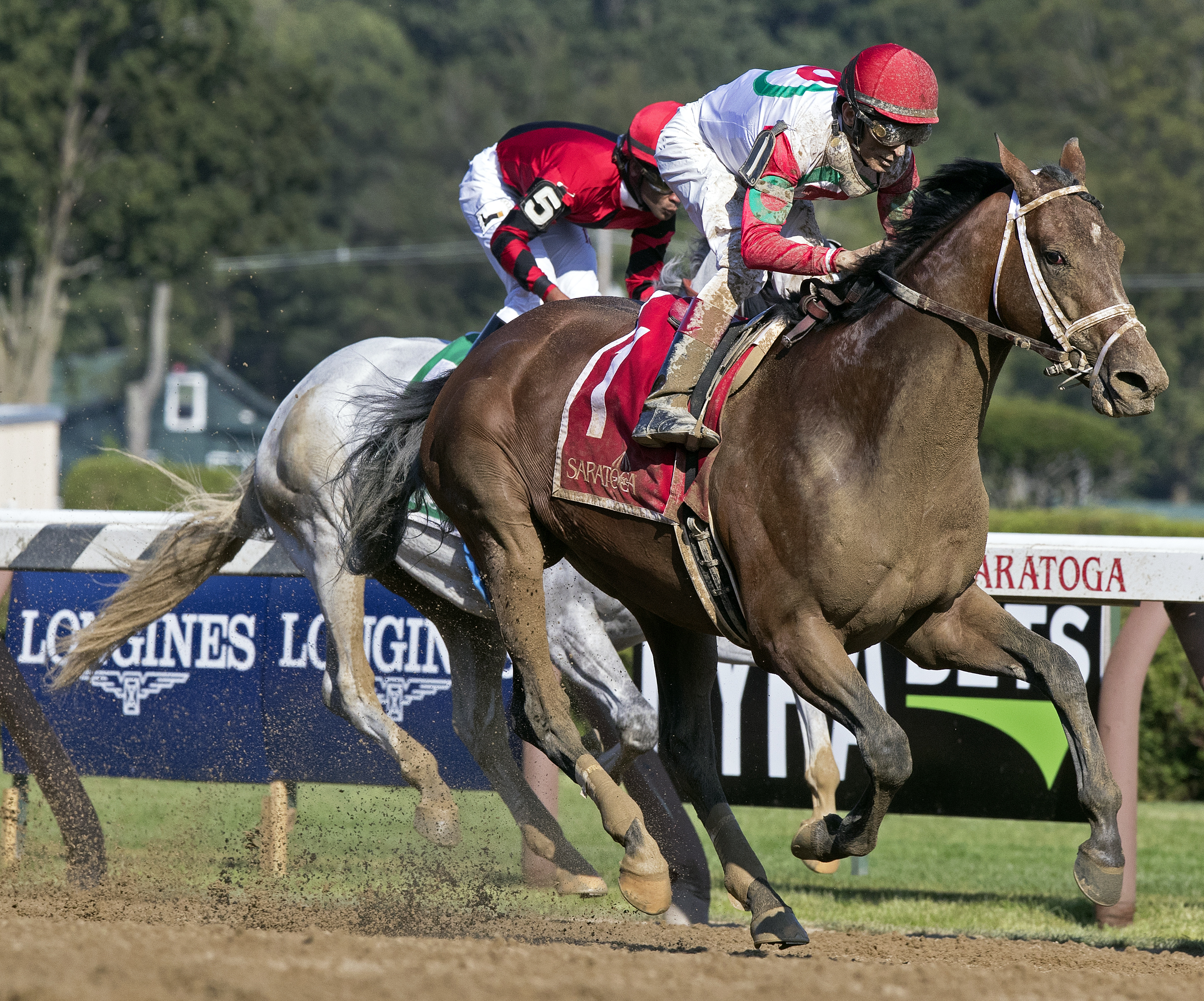 Hard Study wins the Birdstone Stakes at Saratoga on Aug. 3, 2017