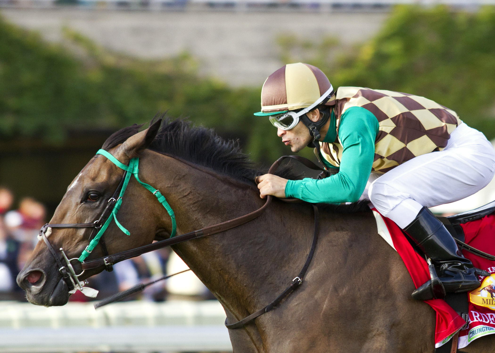 Hardest Core wins the Arlington Million