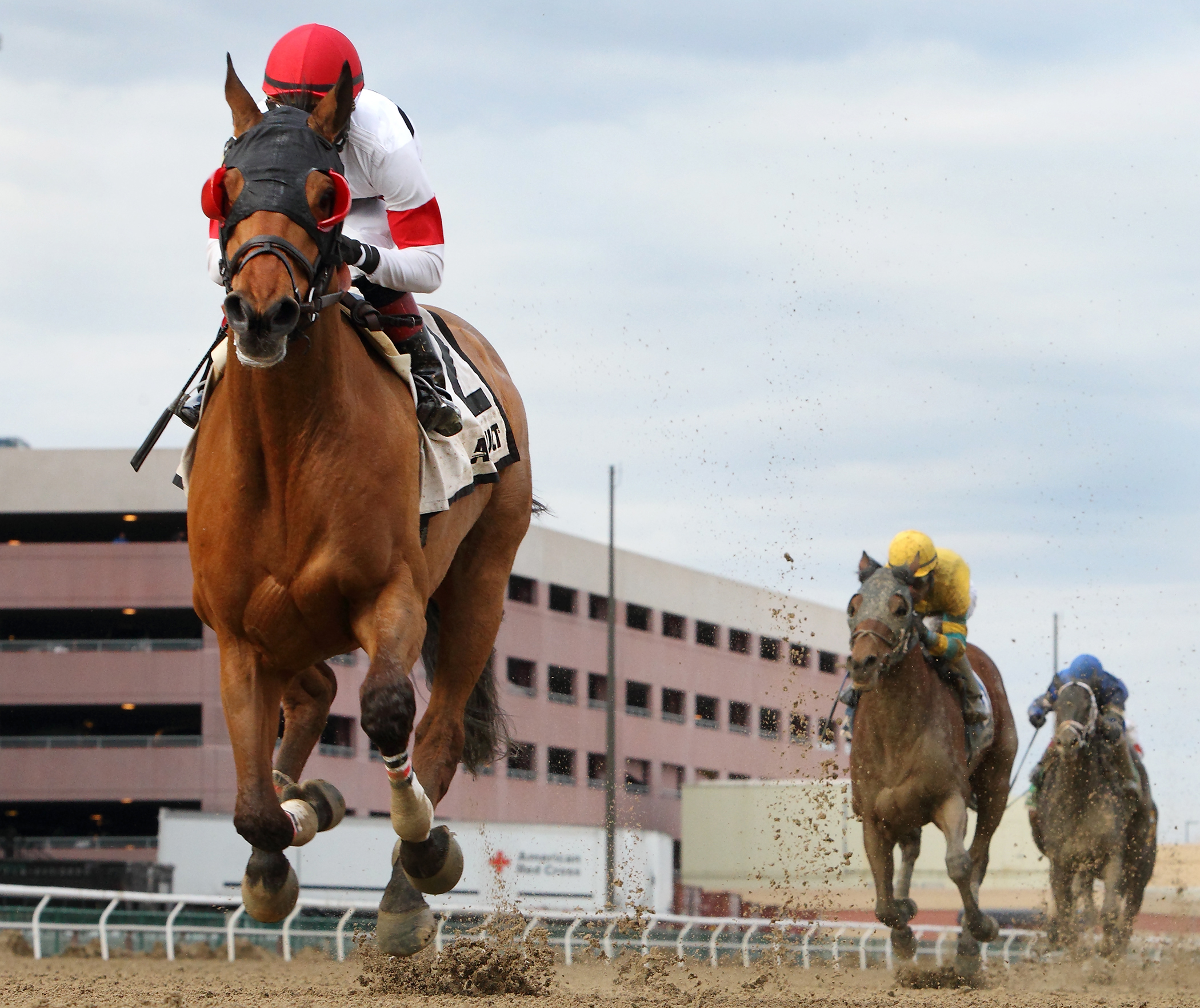 Harlan Punch wins the Stymie Stakes
