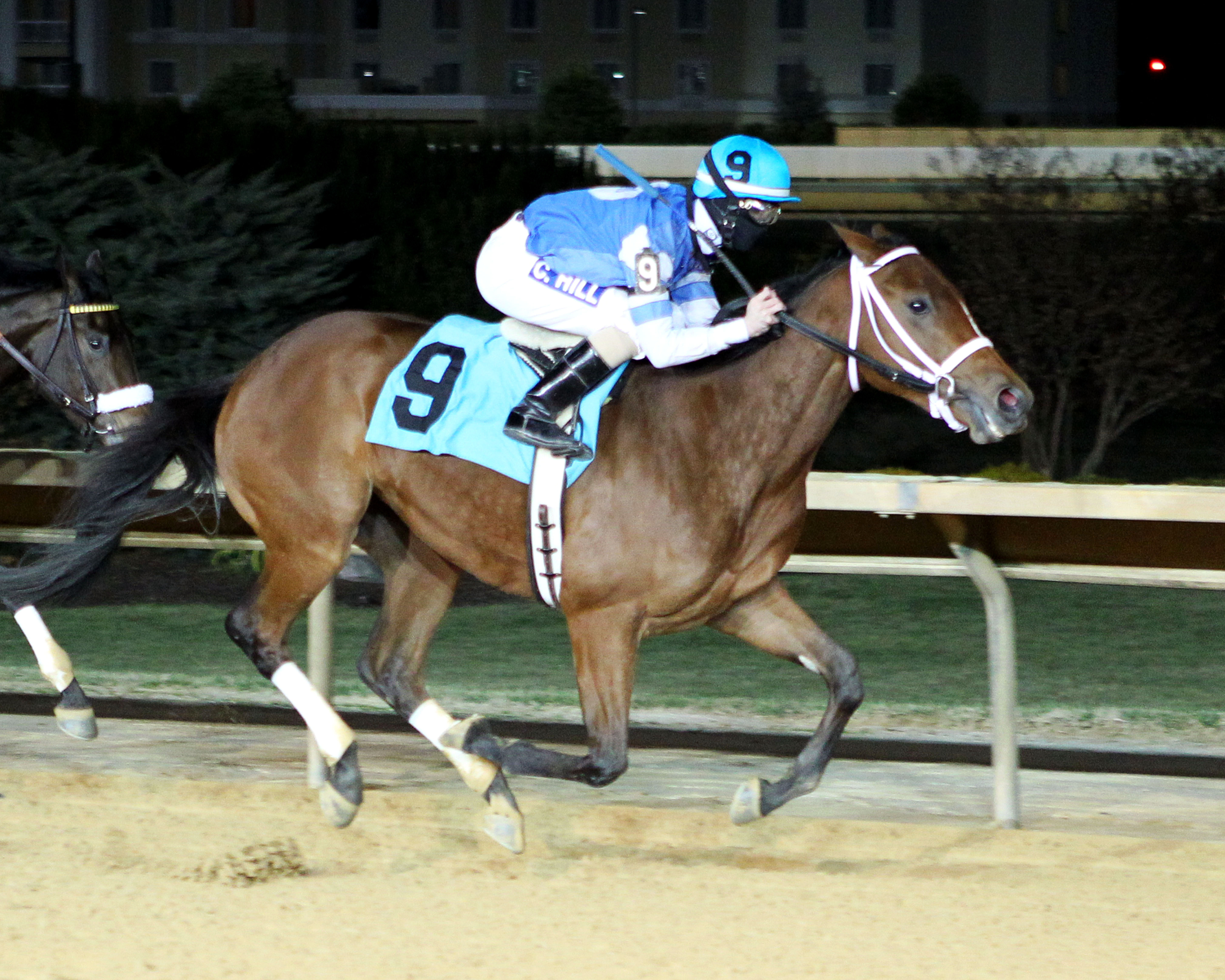Harlan's Destiny wins the Eleanor Casey Memorial