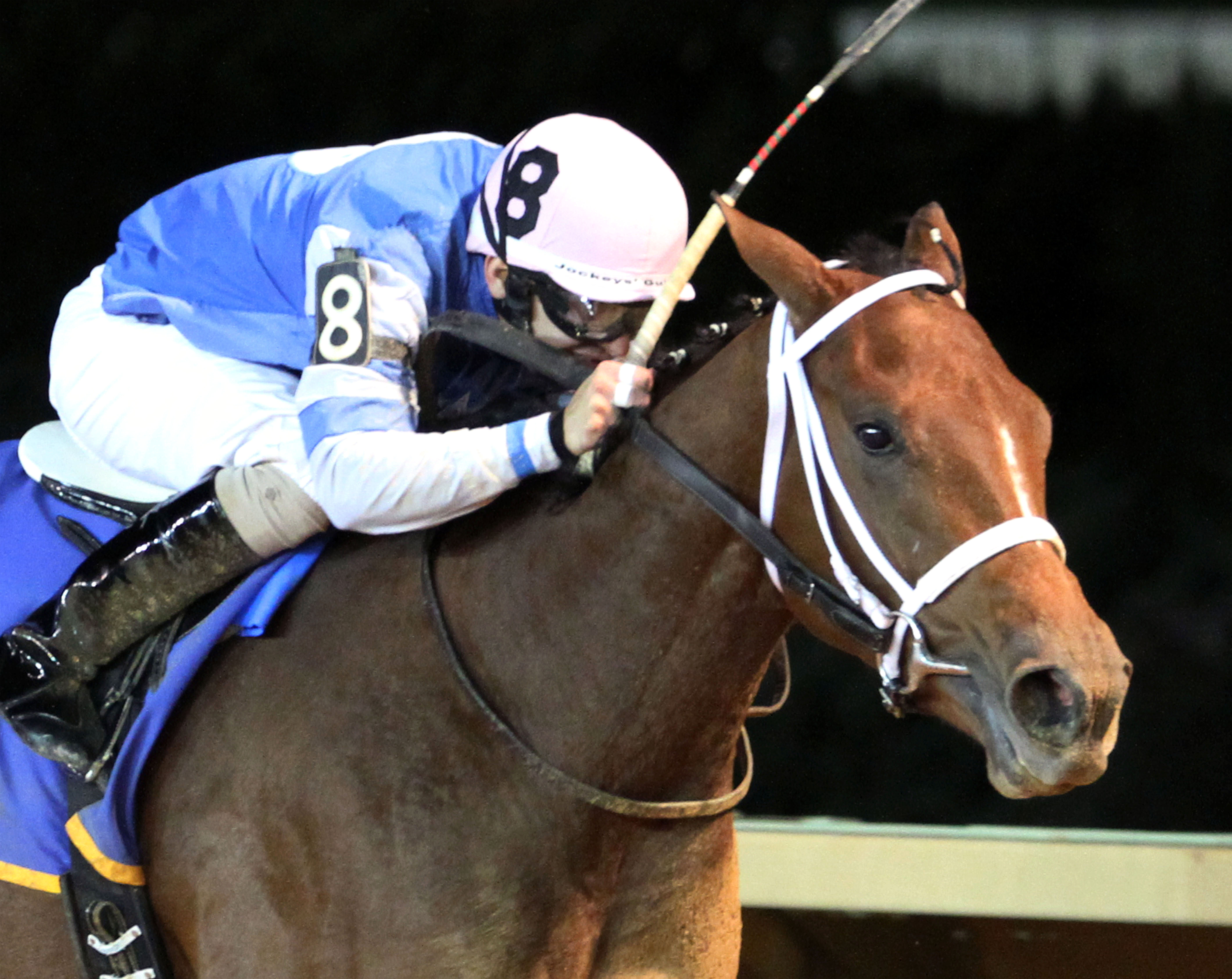 Harlan's Destiny wins the West Virginia Triple Crown Nutrition Breeders Classic
