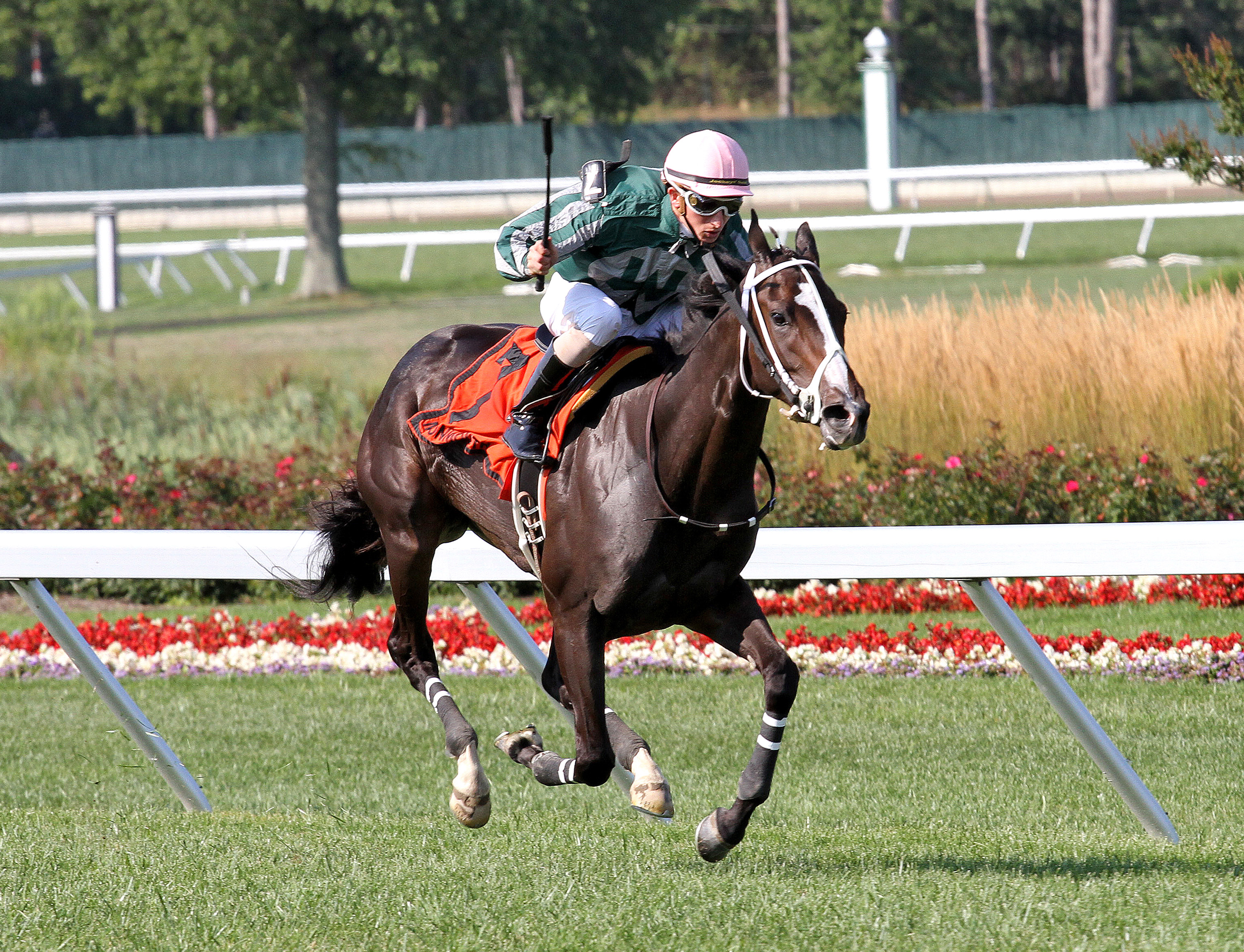 Harlan's Honor wins 2014 Colleen