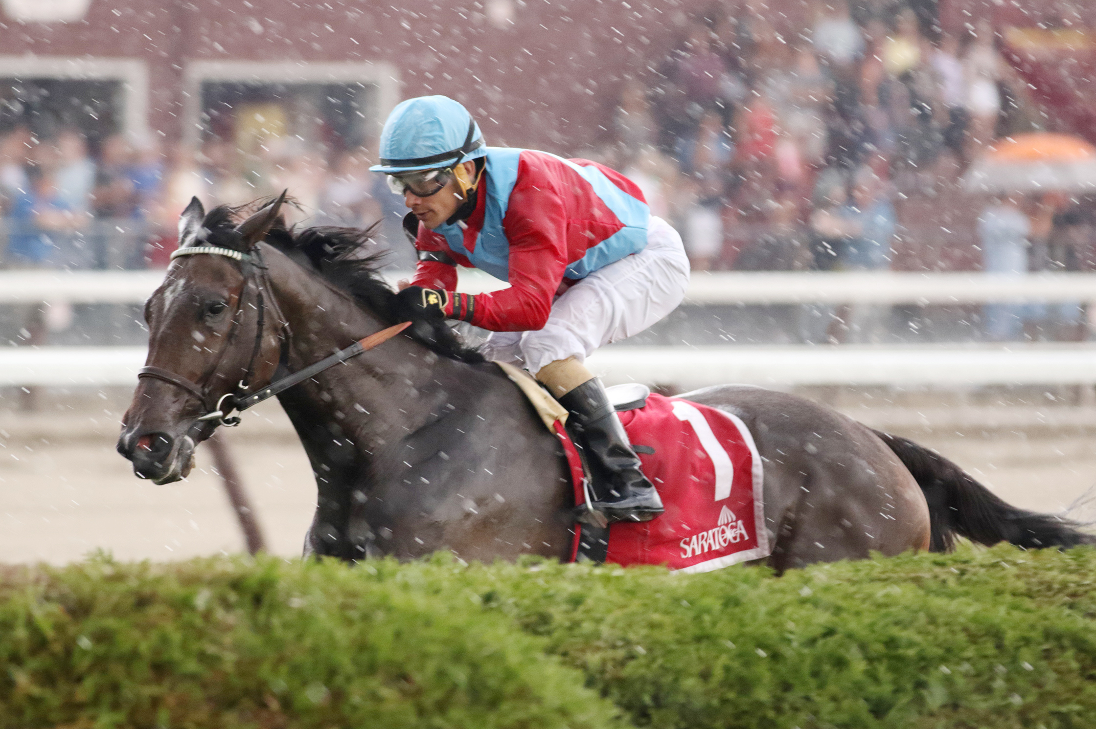 Harmonize wins the P. G. Johnson Stakes