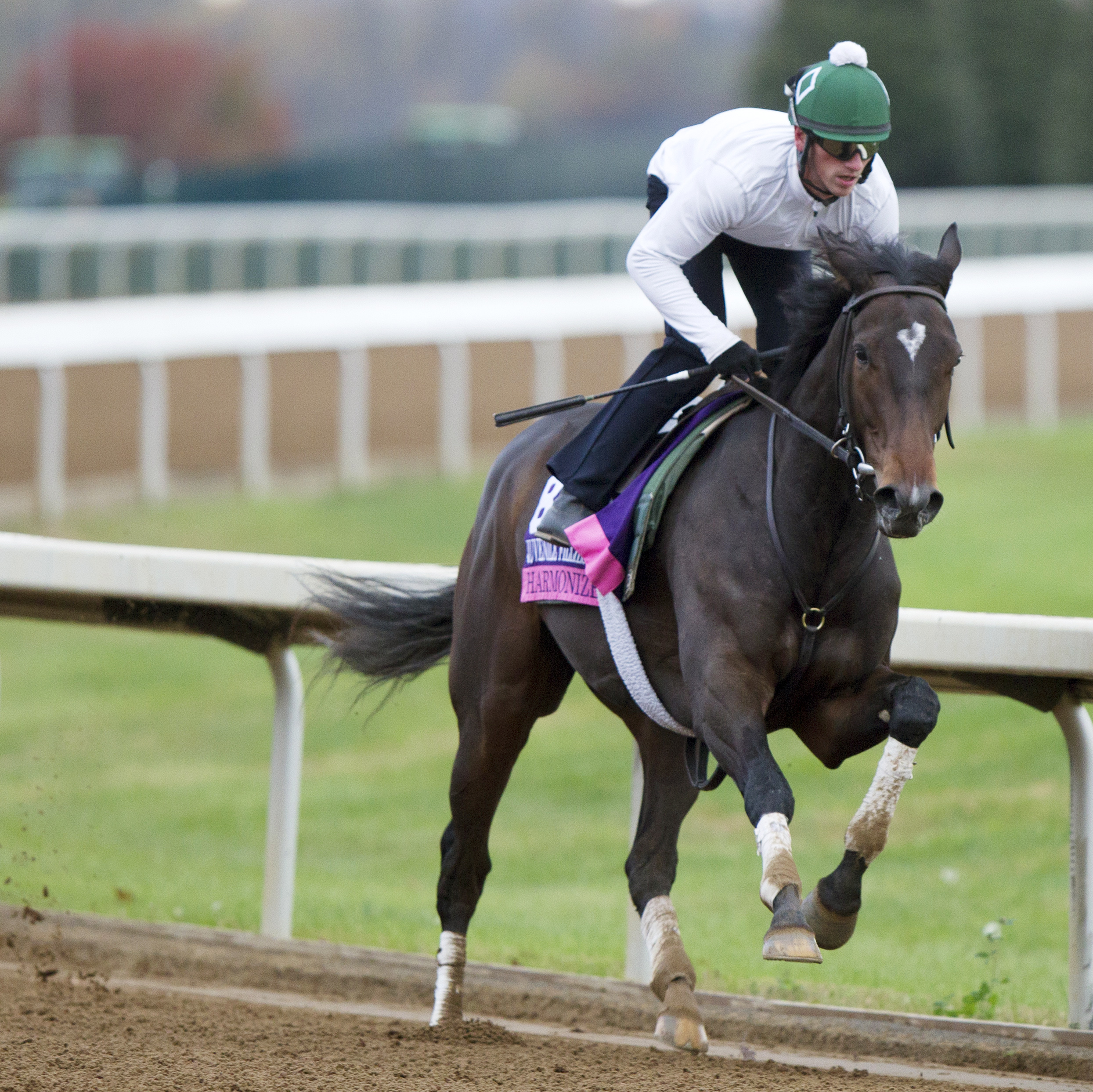 Harmonize trains at Keeneland on Oct. 26