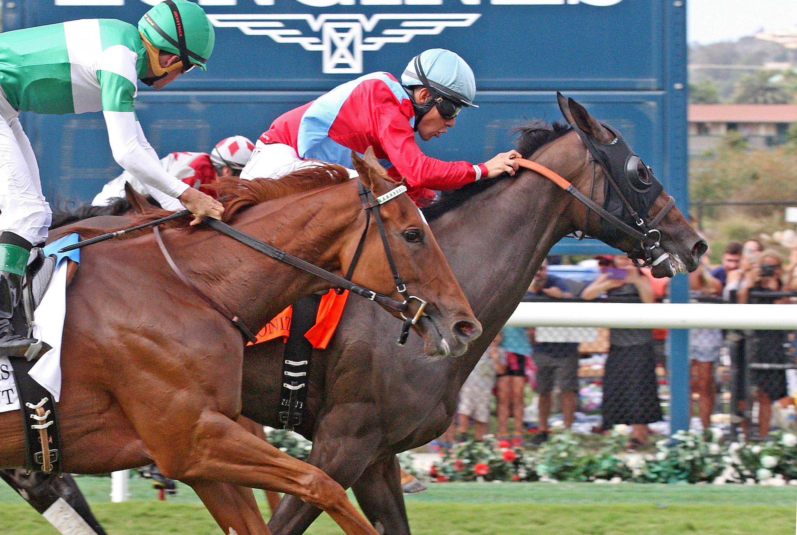 Harmonize wins the Del Mar Oaks