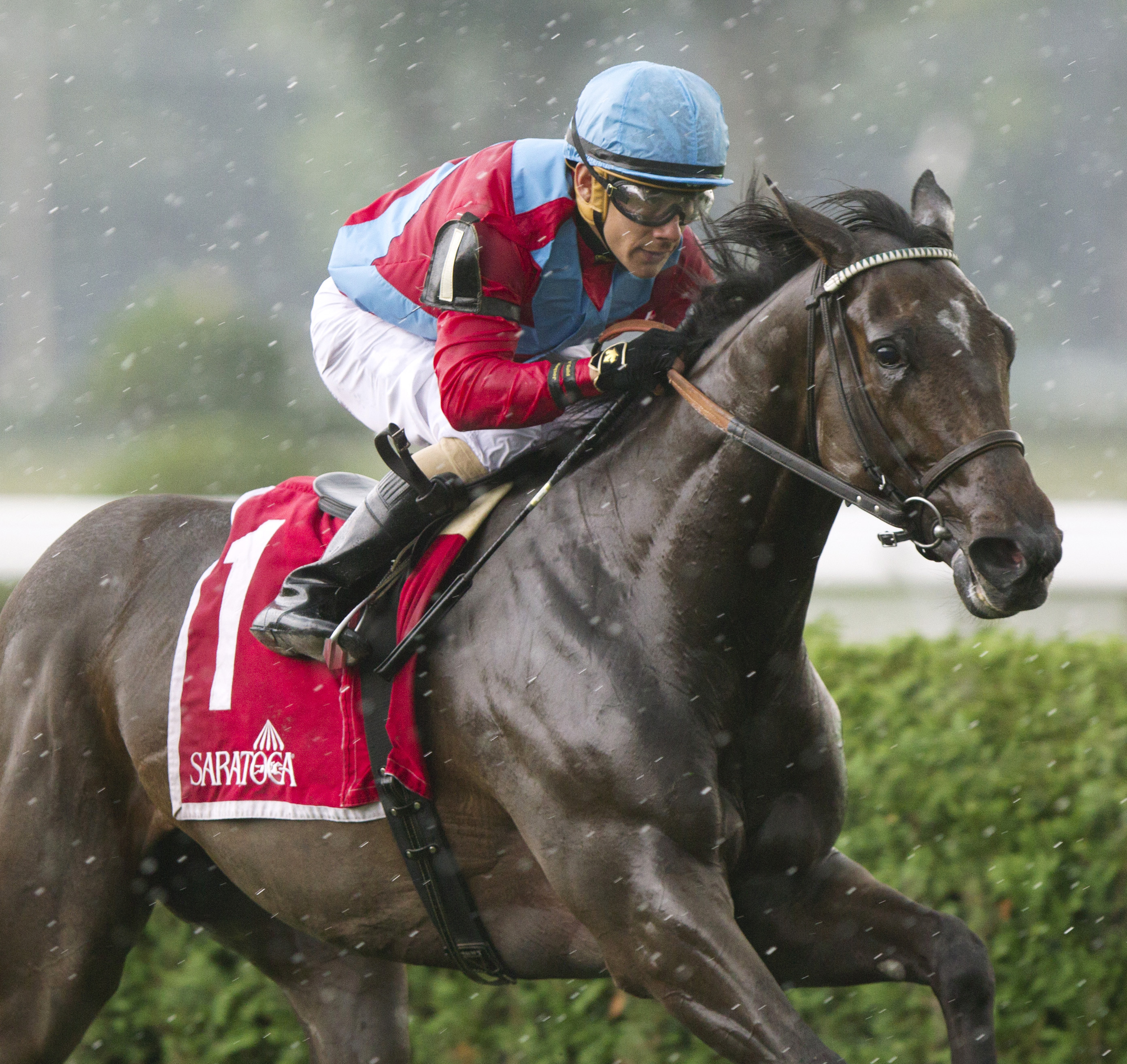 Harmonize wins the P. G. Johnson Stakes