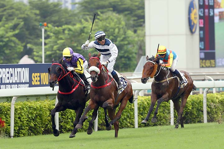 Harmony Victory wins a Class 1 race at Sha Tin Racecourse on July 14