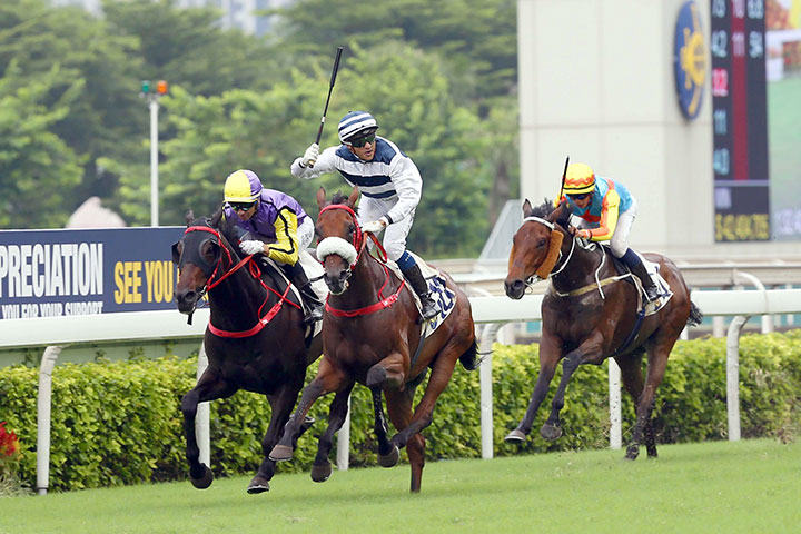 Harmony Victory wins the 2019 Sha Tin Mile at Sha Tin Racecourse