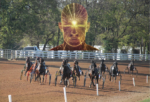 Harness Racing with head