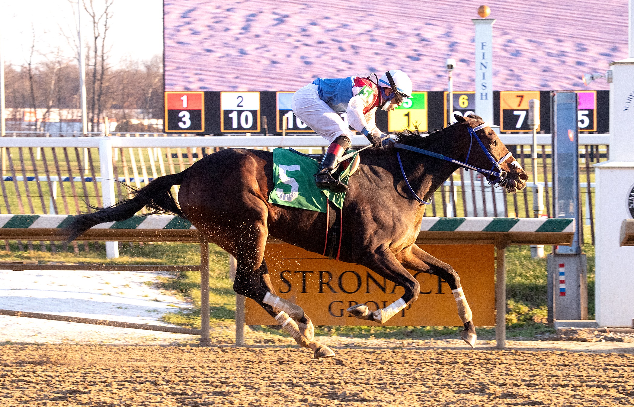 Harpers First Ride wins Richard Small 11-28-2020