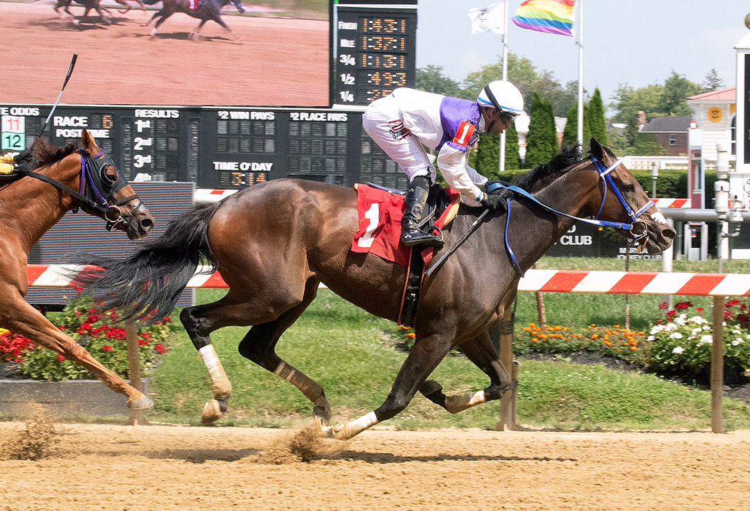 Harpers First Ride wins a June 27 allowance optional claimer at Pimlico