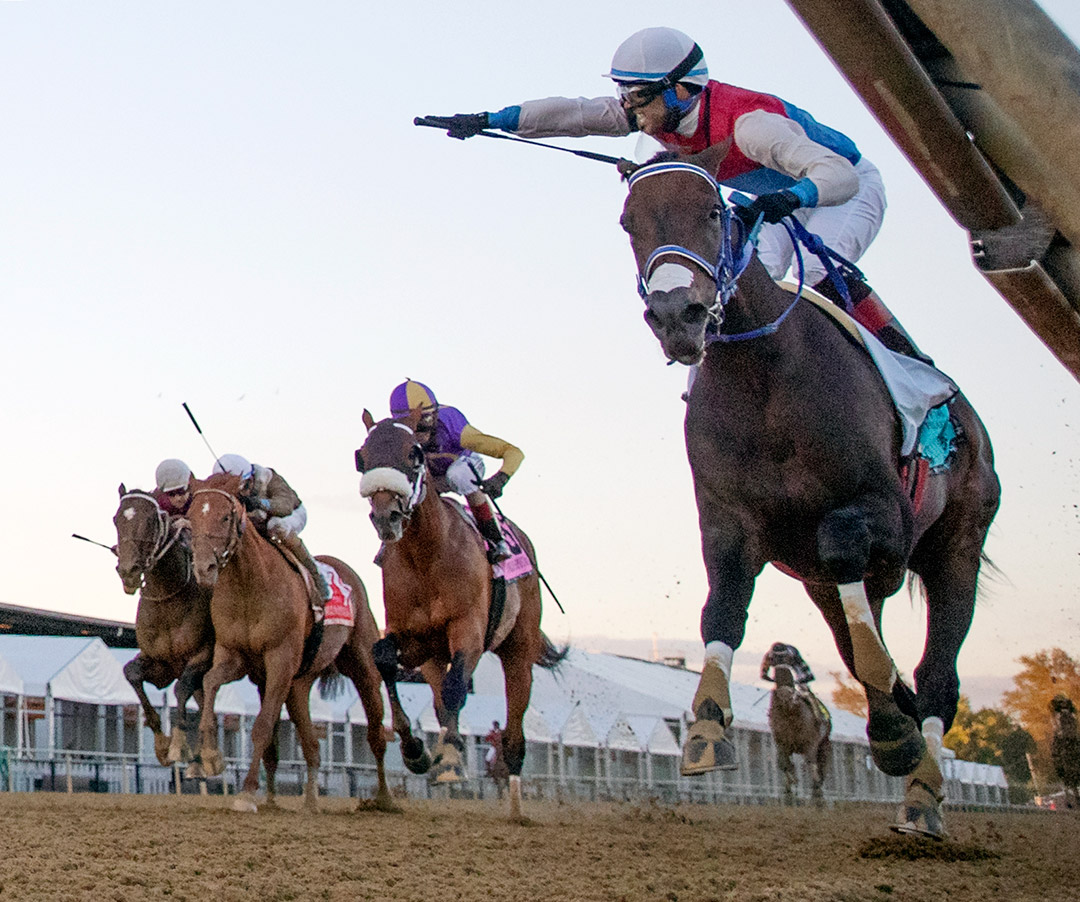 Harpers First Ride wins the 2020 Pimlico Special at Pimlico Race Course
