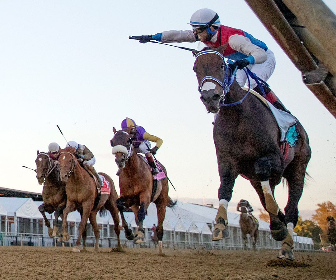 Harpers First Ride wins the 2020 Pimlico Special at Pimlico Race Course