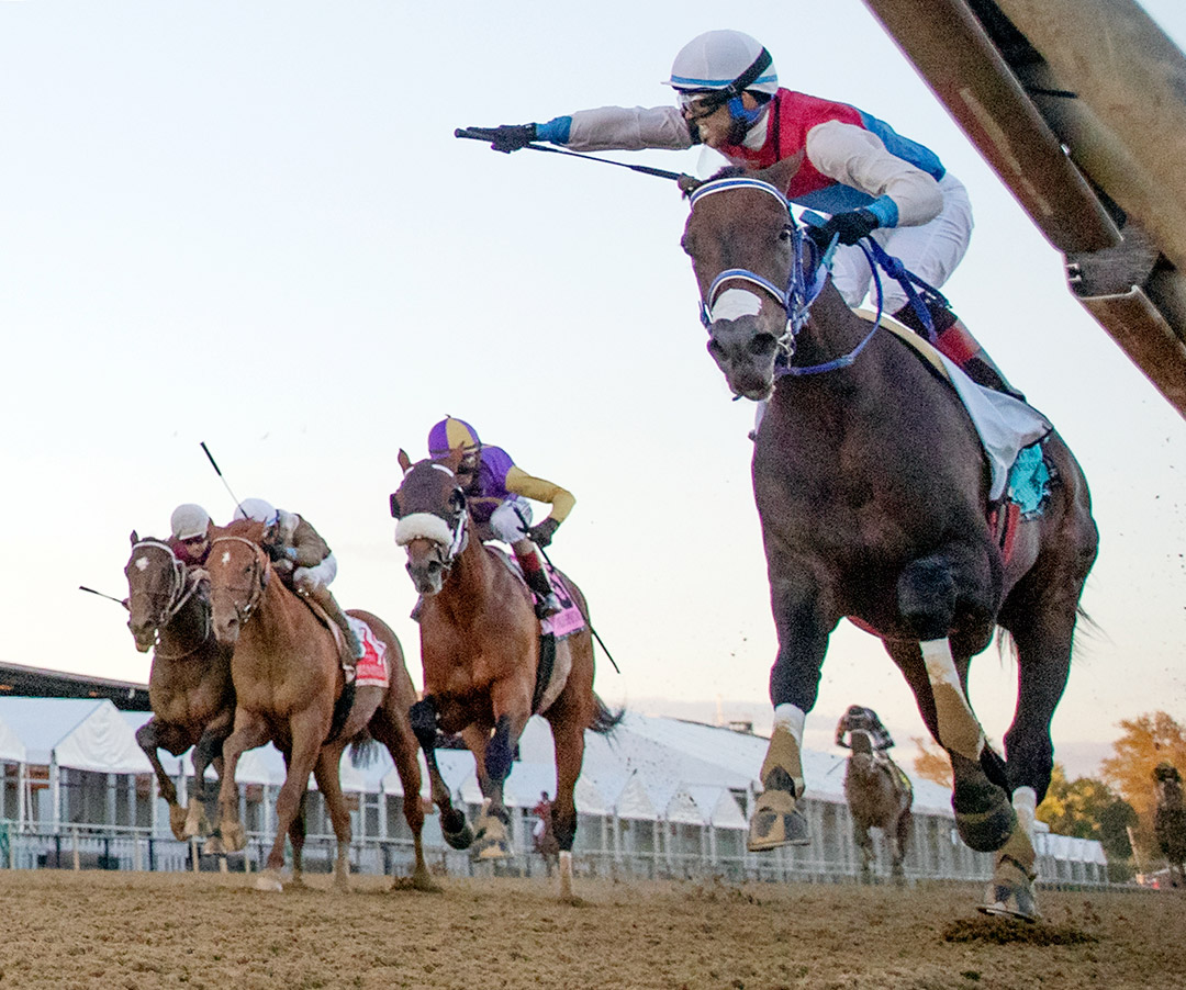 Harpers First Ride wins the 2020 Pimlico Special at Pimlico Race Course