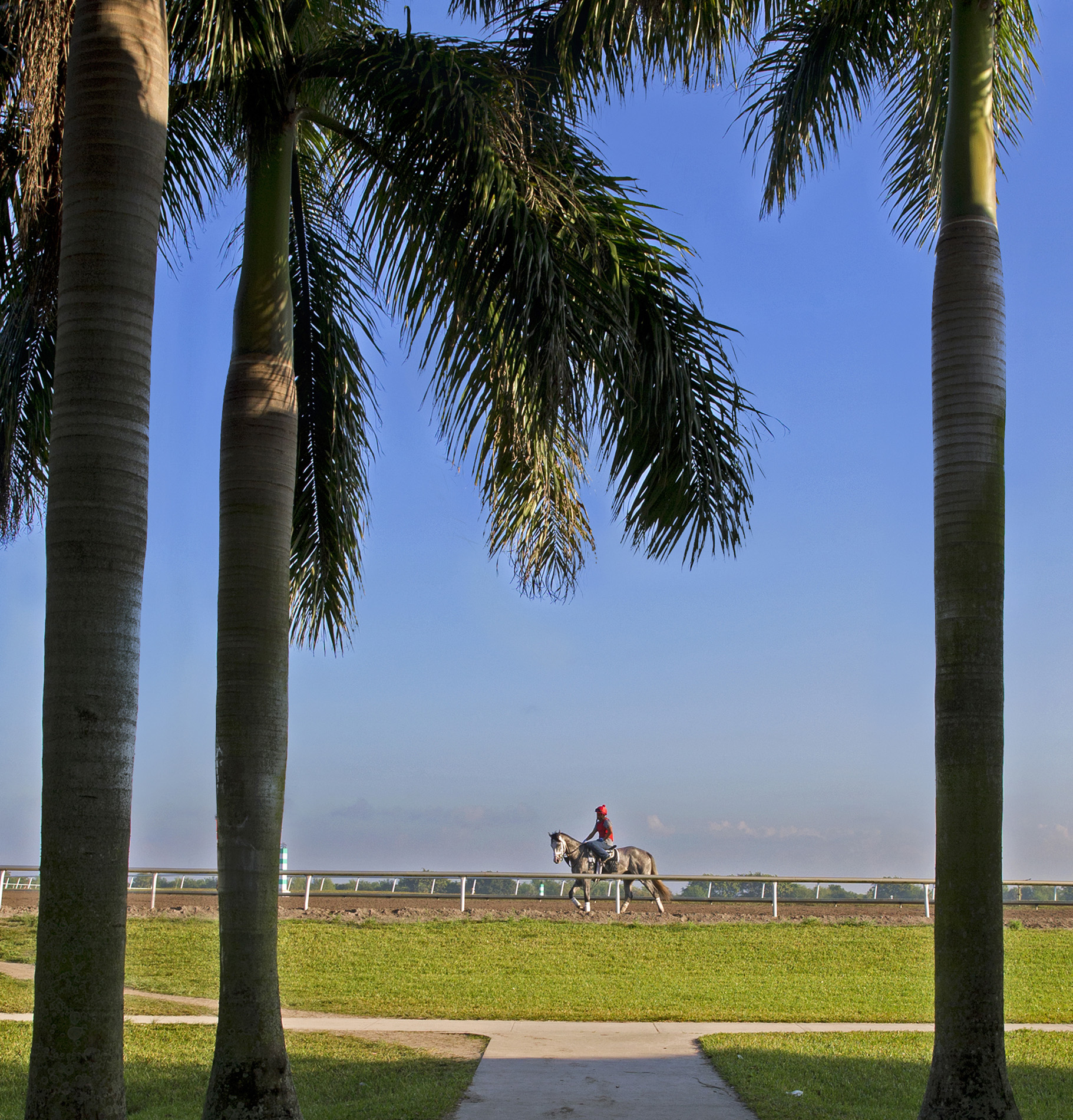 Palm Meadows Training Center