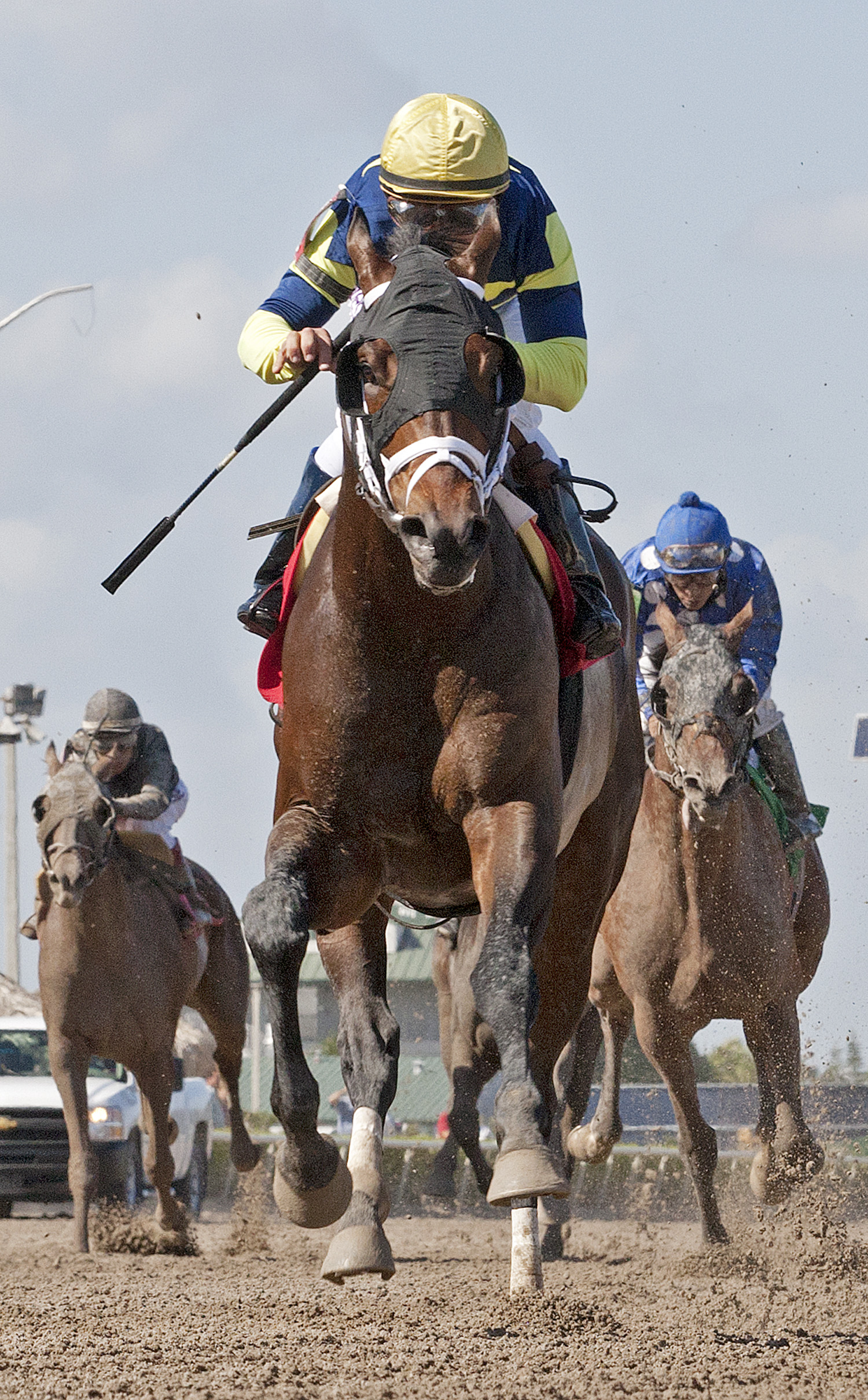 Harris finishes second in an optional claiming race