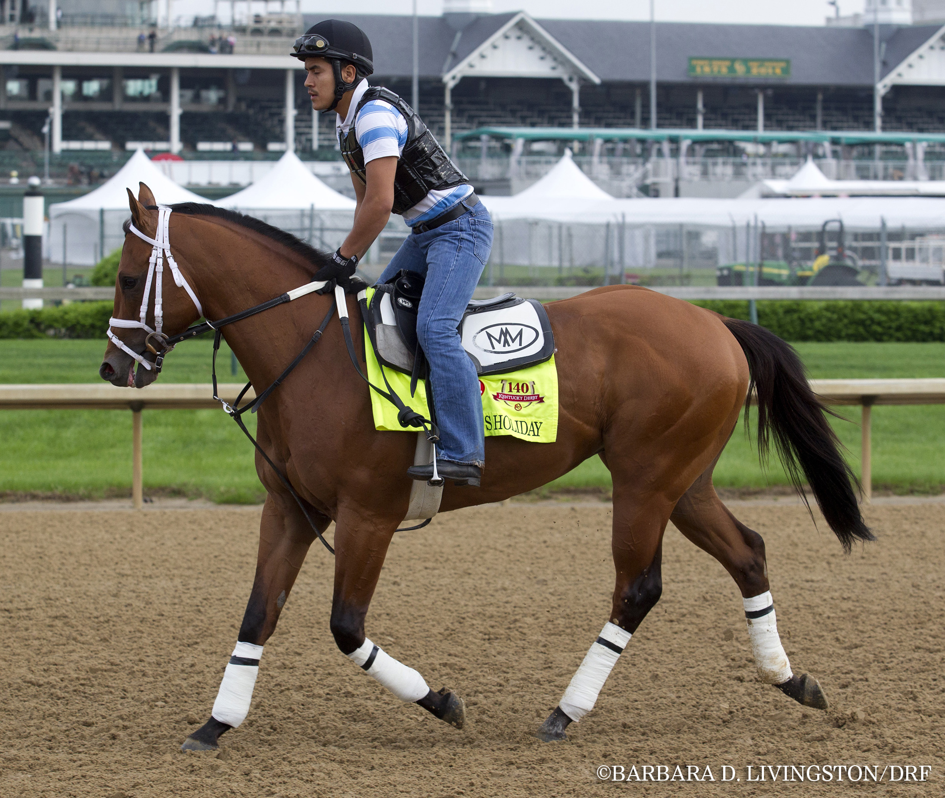 Harry's Holiday, Derby Workout, April 29