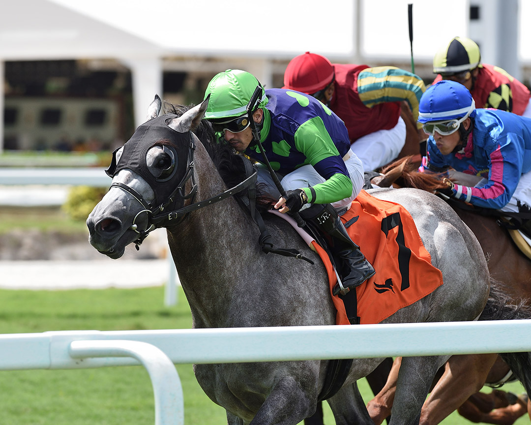 Harry's Ontheloose wins the 2021 North Miami Beach Stakes at Gulfstream Park