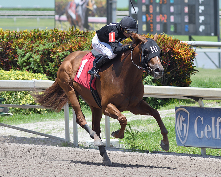 Harryhee wins an Aug. 5 allowance at Gulfstream