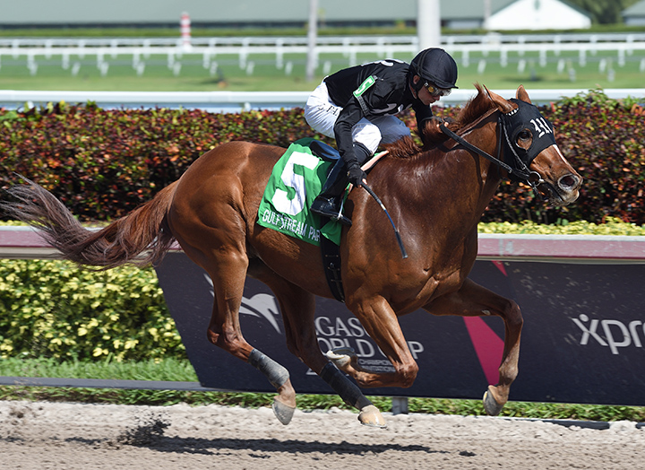 Harryhee wins the 2019 Trust Buster Stakes