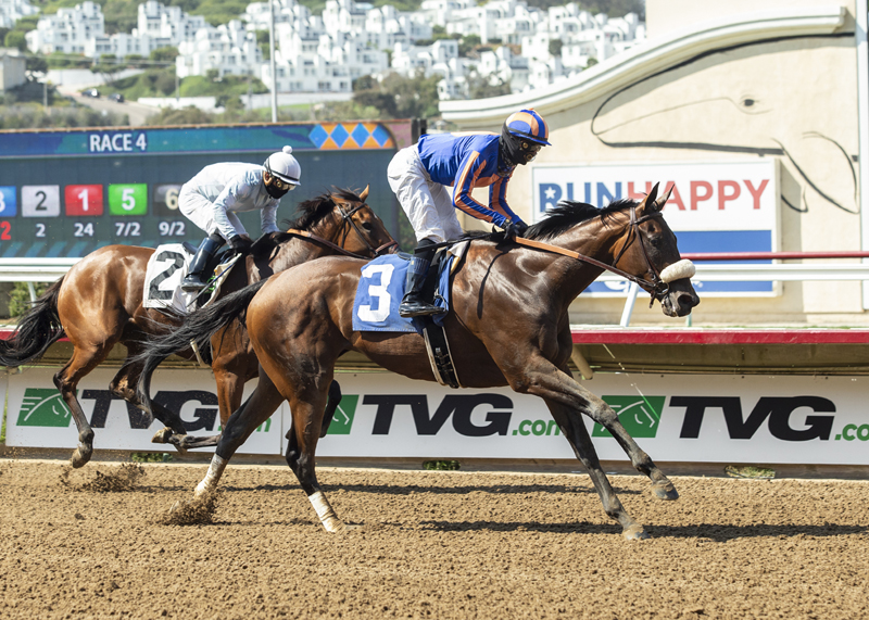 Harvest Moon wins Torrey Pines 8-22-2020