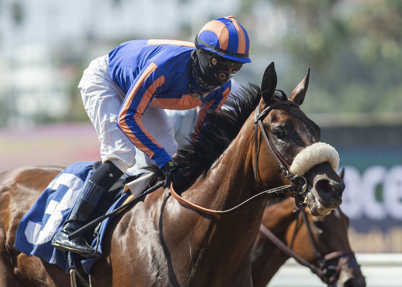 Harvest Moon wins Torrey Pines alternate 8-22-2020