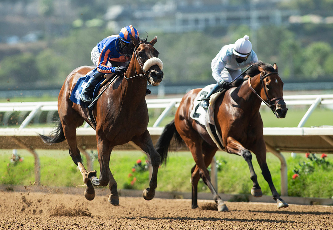 Secret Keeper (right) finishes second in the Torrey Pines Stakes at Del Mar