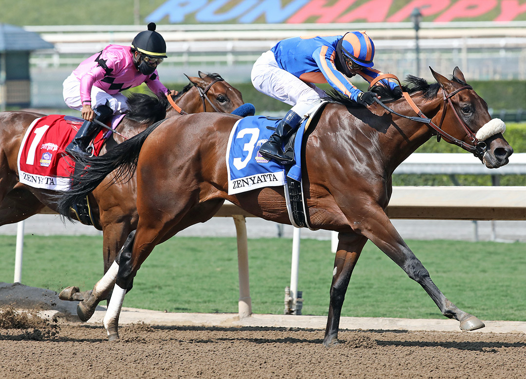 Harvest Moon wins the 2020 Zenyatta Stakes at Santa Anita Park