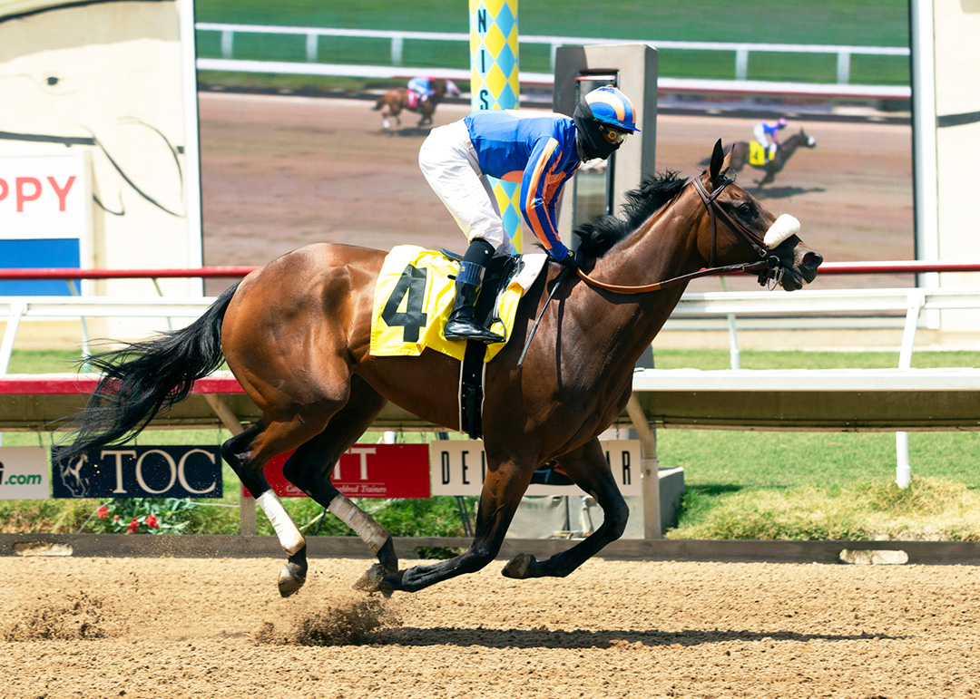 Harvest Moon wins a July 27 allowance at Del Mar