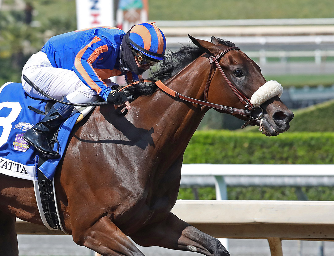 Harvest Moon wins the 2020 Zenyatta Stakes at Santa Anita Park